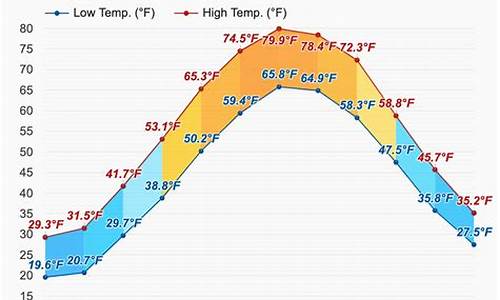 底特律天气预报15天查询_底特律天气