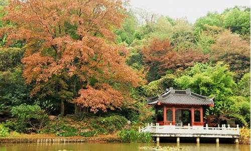 南京周边旅游景点推荐坐轮椅能玩南京总统府吗_南京周边旅游景点推荐