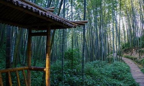 蜀南竹海天气预报_蜀南竹海天气预报7天