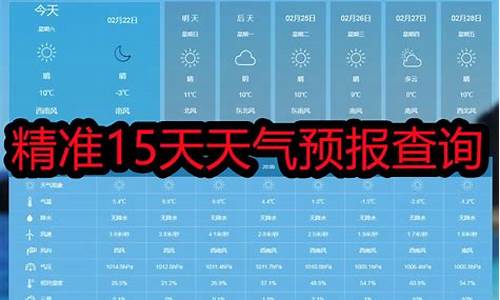 临沂精准15日天气预报_临沂15日内天气预报