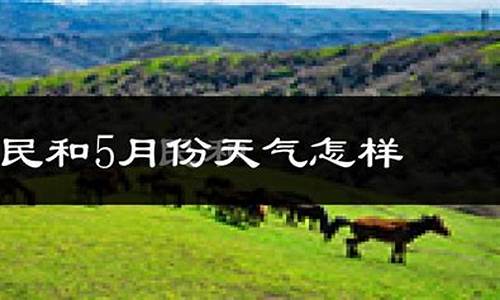 民和天气预报15天查询_民和天气预报15天