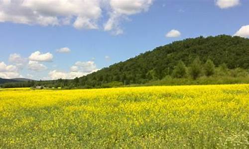 阿荣旗天气预报15天气_阿荣旗天气预告